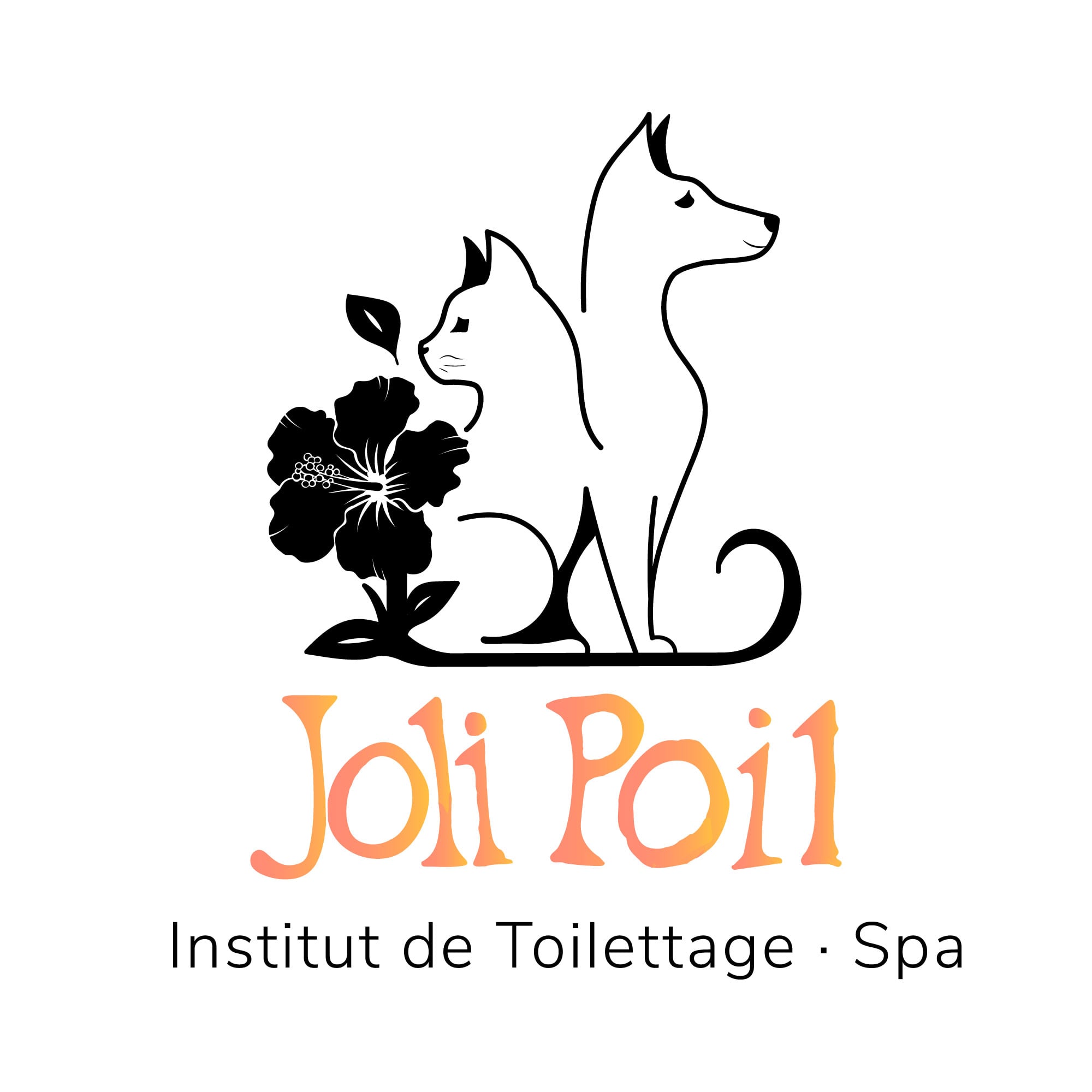 institut toilettage Perpignan 66